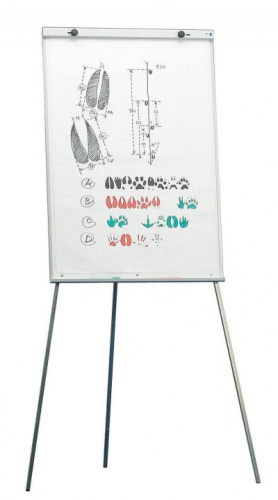 Флип-чарт Kindermann Budget вид спереди