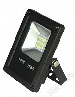 Falcon Eye FE-CF10LED-pro